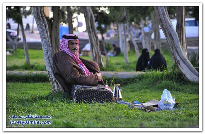 ربيع الباحة