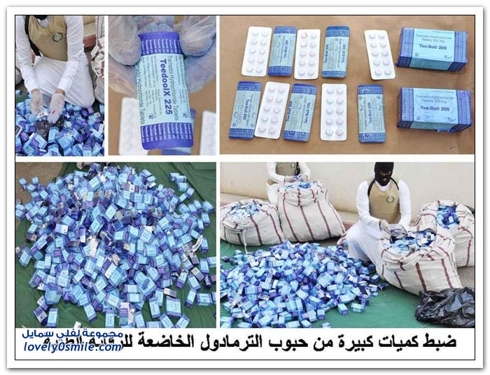 تورط 278 سعودياً بتهريب مخدرات بقيمة 2 مليار ريال