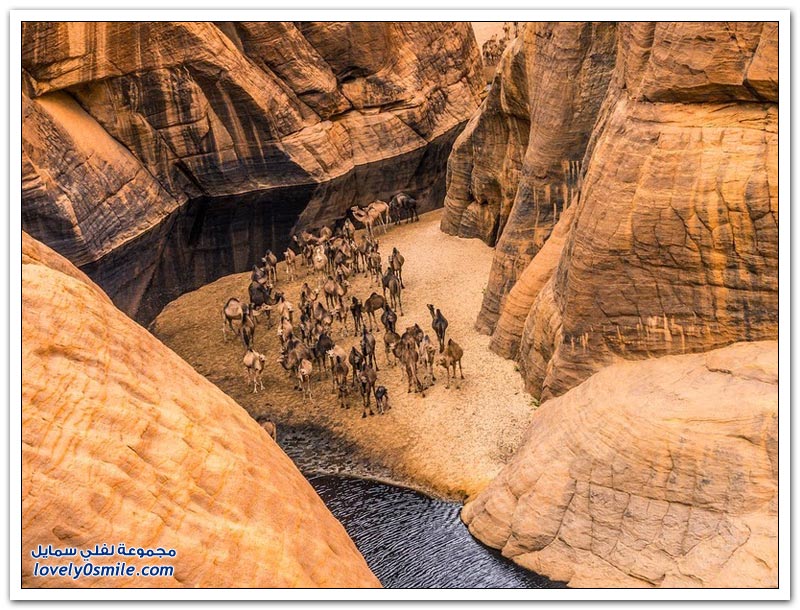 واحة جيلتا في صحراء تشاد
