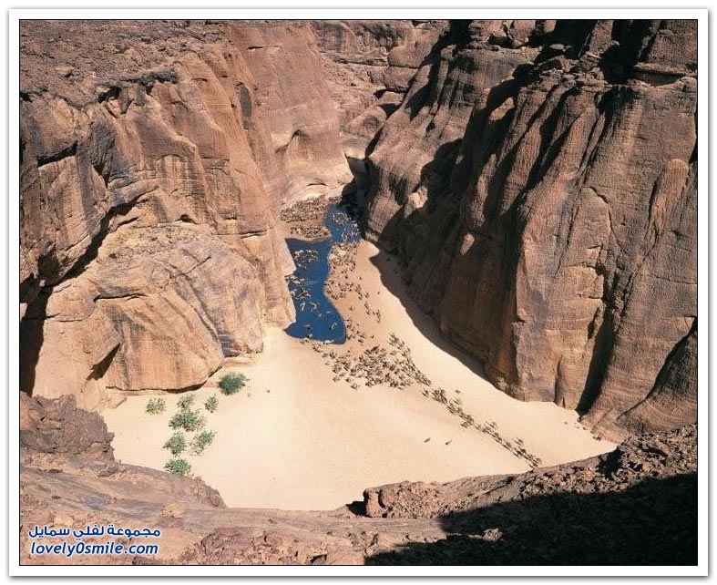 واحة جيلتا في صحراء تشاد