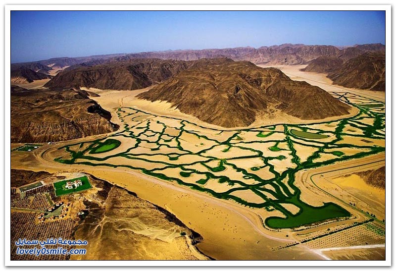 مناظر خلابة وإنتاج مثمر في صحراء وادي رم