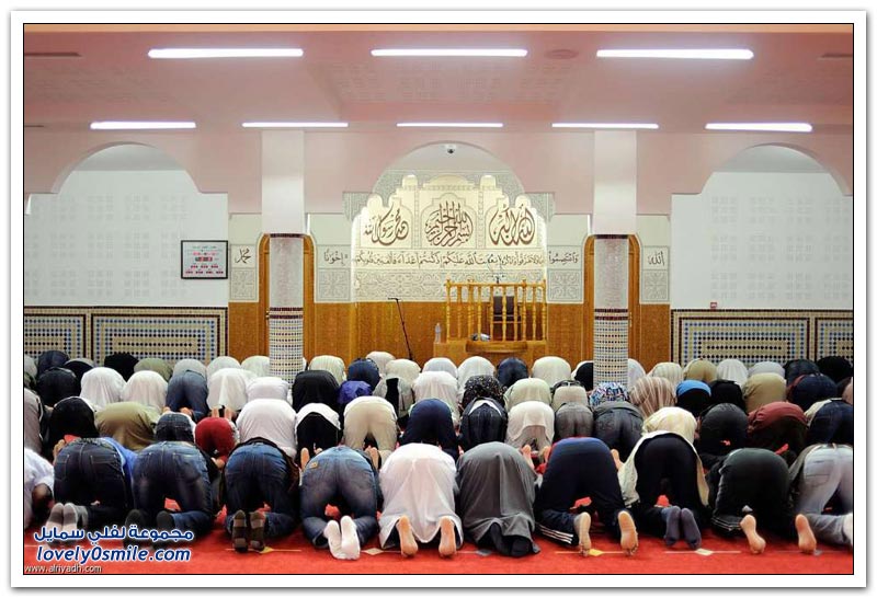 شهر رمضان في شتى بقاع الأرض لعام 1435هـ