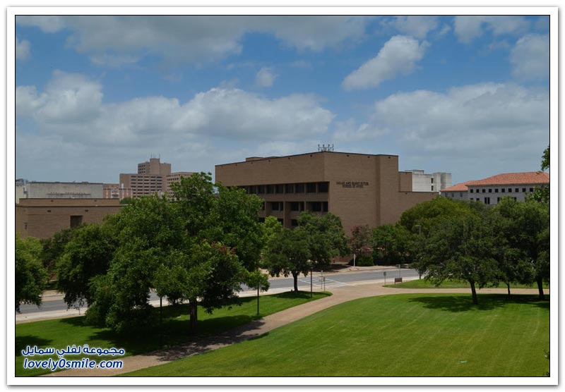 جامعة تكساس