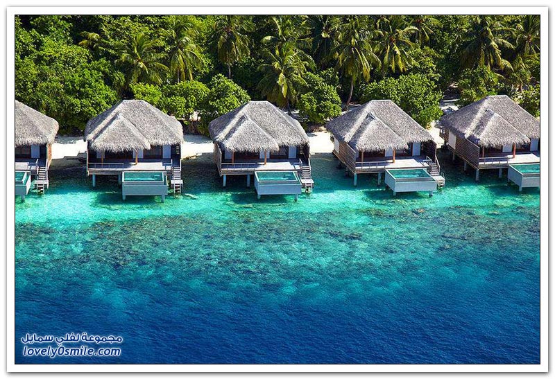 فندق دوسيت ثاني في المالديف