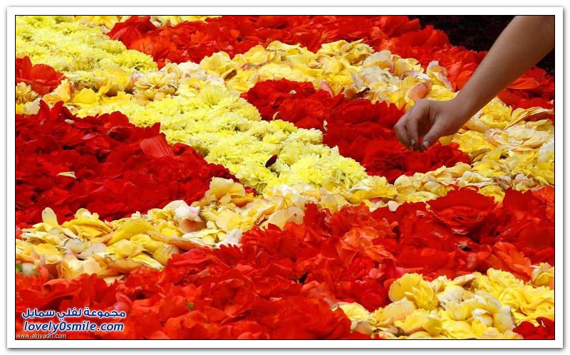 مهرجان الزهور في بروكسل