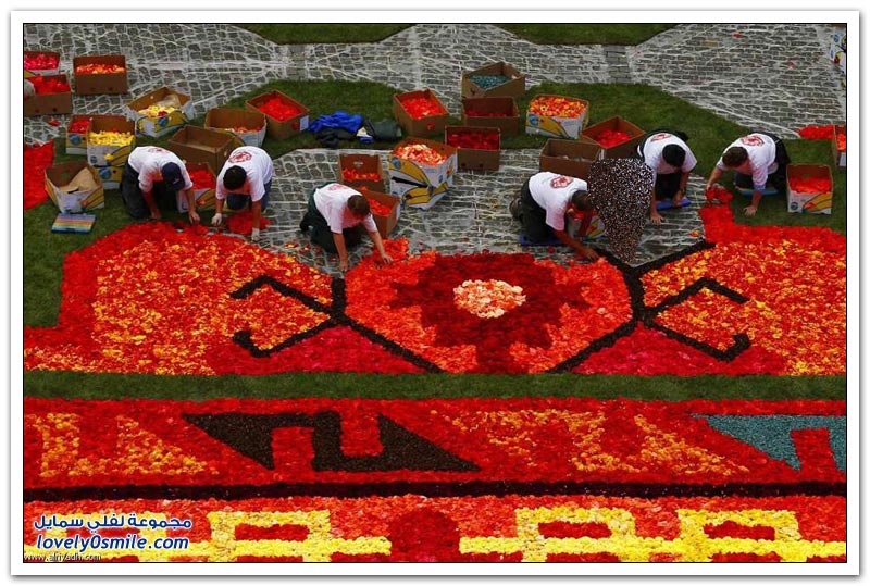 مهرجان الزهور في بروكسل