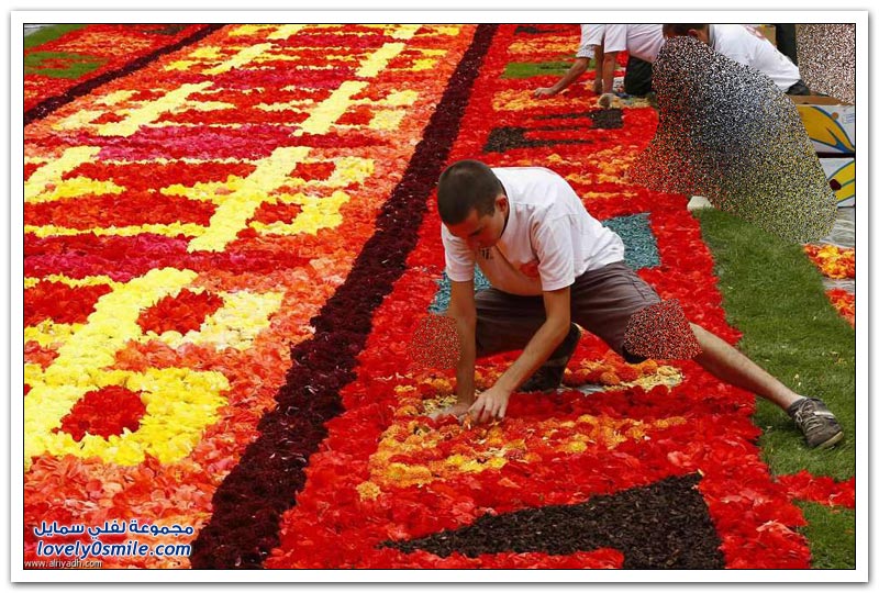 مهرجان الزهور في بروكسل