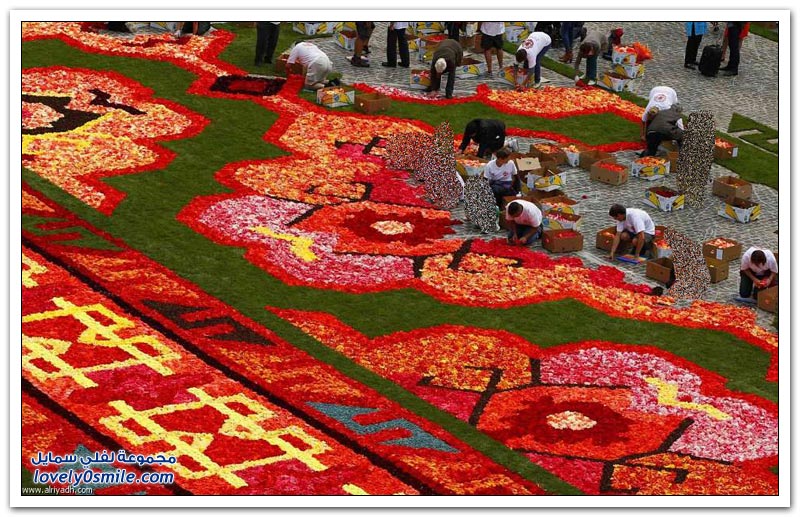 مهرجان الزهور في بروكسل