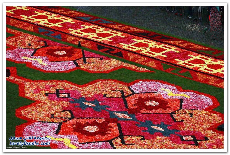 مهرجان الزهور في بروكسل