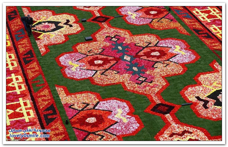 مهرجان الزهور في بروكسل