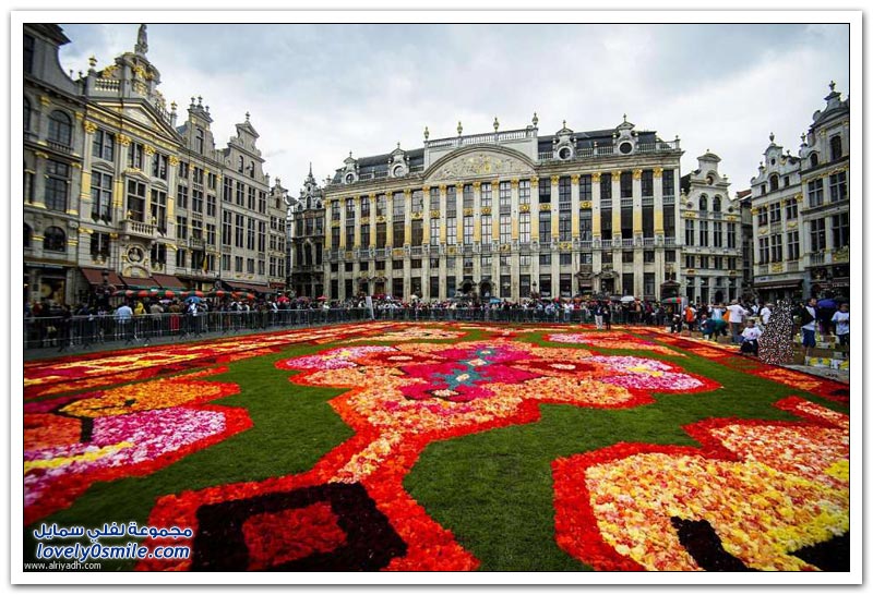 مهرجان الزهور في بروكسل