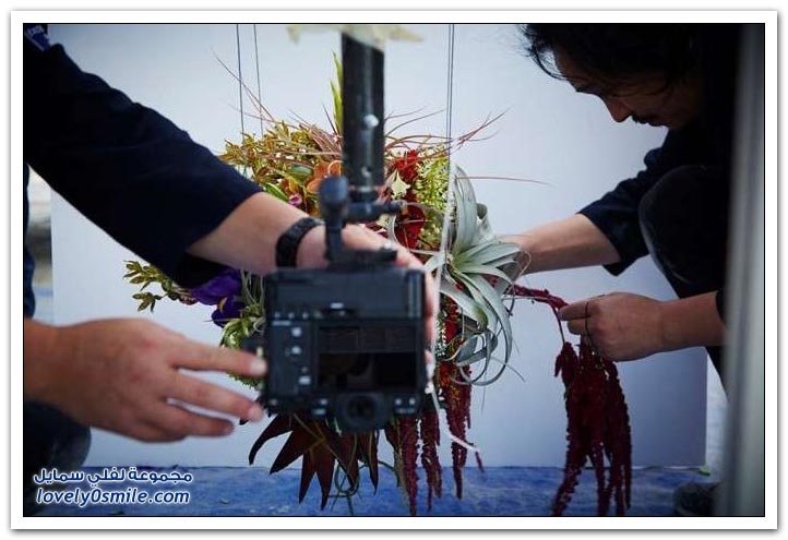 فنان ياباني يطلق مجموعة من النباتات والزهور إلى الفضاء