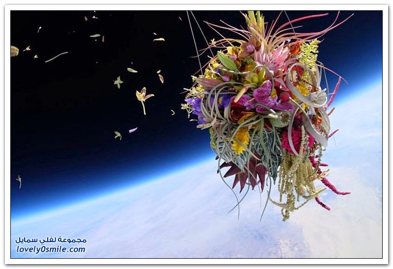 فنان ياباني يطلق مجموعة من النباتات والزهور إلى الفضاء
