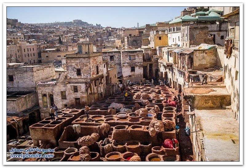 مدابغ الجلود في مدينة فاس، المغرب
