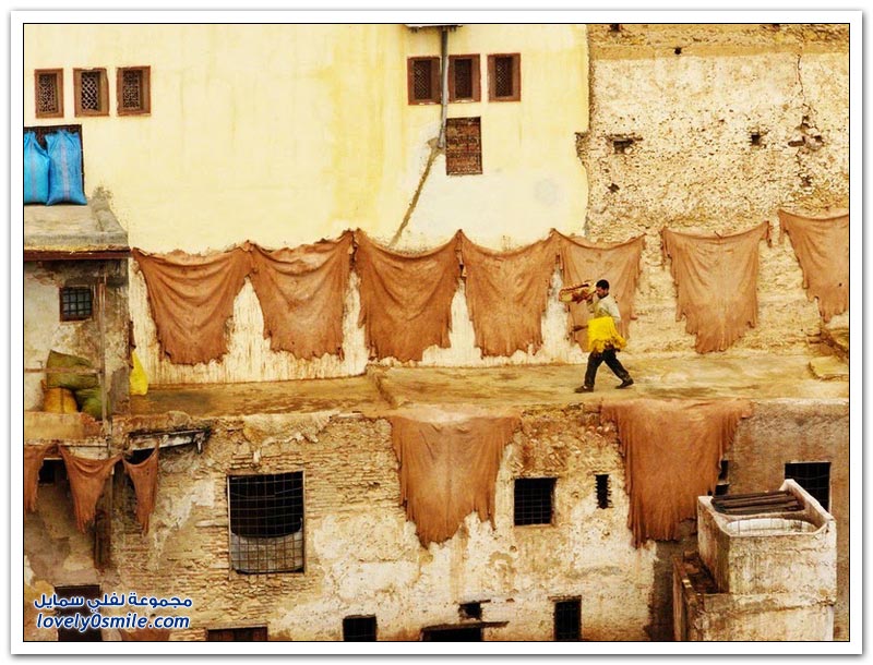 مدابغ الجلود في مدينة فاس، المغرب