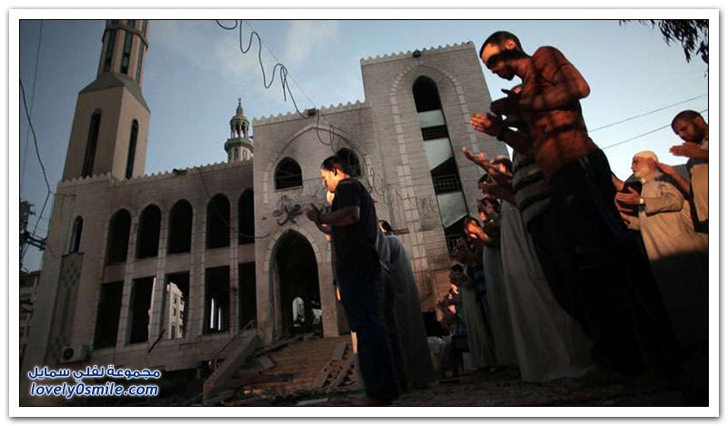 نتائج الدعم الصهيوني العربي للعدو الصهيوني.. حسبنا الله ونعم الوكيل