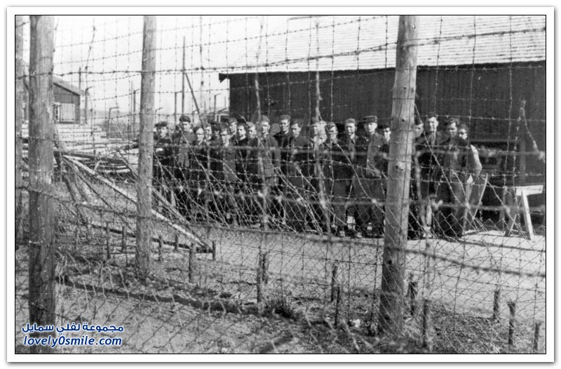 معسكرات الاعتقال النازية