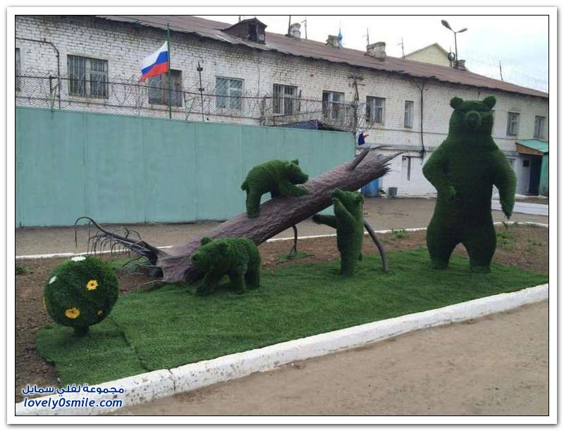 فقط في روسيا ج18