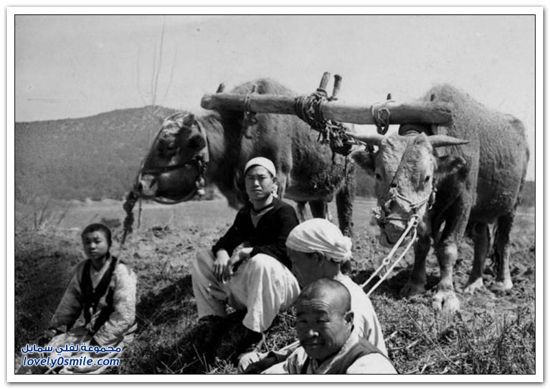 صور نادرة لكوريا الشمالية في بدايات القرن العشرين