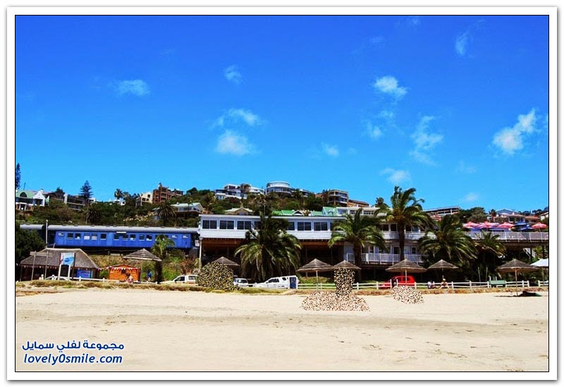 فندق القطار العجيب على شاطىء سانتوس