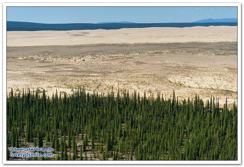 الكثبان الرملية لحديقة وادي كوبوك الوطنية في ألاسكا