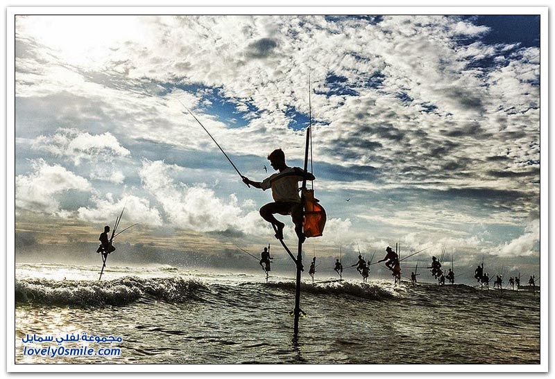 الصيد باستخدام الركيزة في سريلانكا