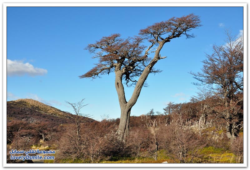 باتاغونيا وجهة هواة الطبيعة والمغامرات