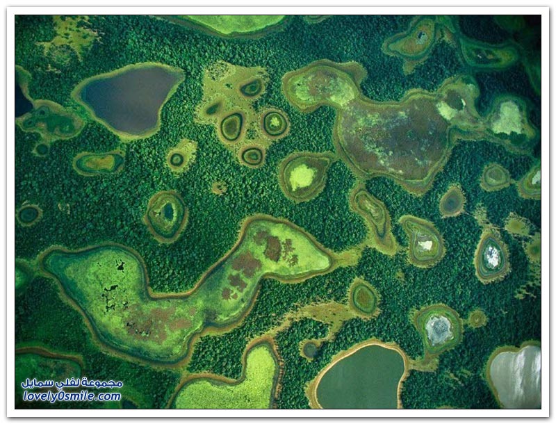 بانتانال، أكبر الأراضي الرطبة للمياه العذبة في العالم