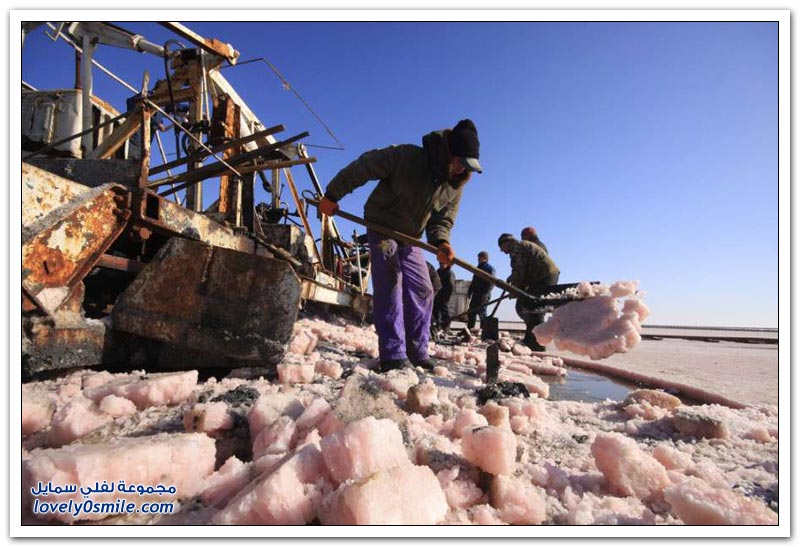 استخراج الملح في شبه جزيرة القرم
