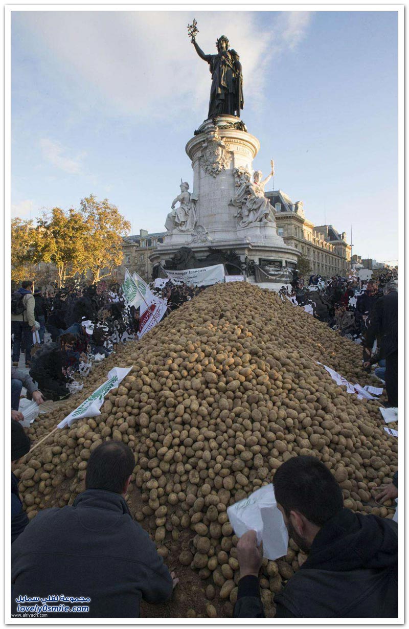احتجاج البطاطس في فرنسا