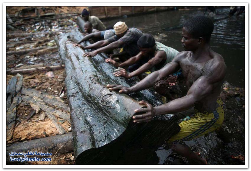 تجارة الأخشاب في نيجيريا