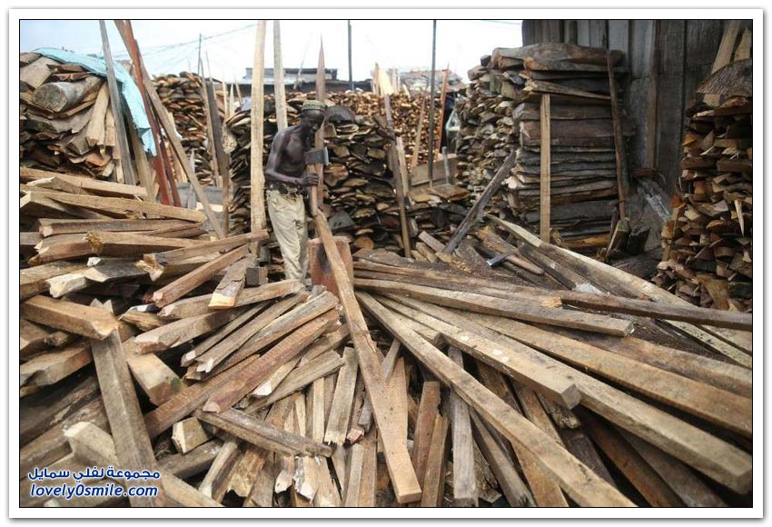 تجارة الأخشاب في نيجيريا