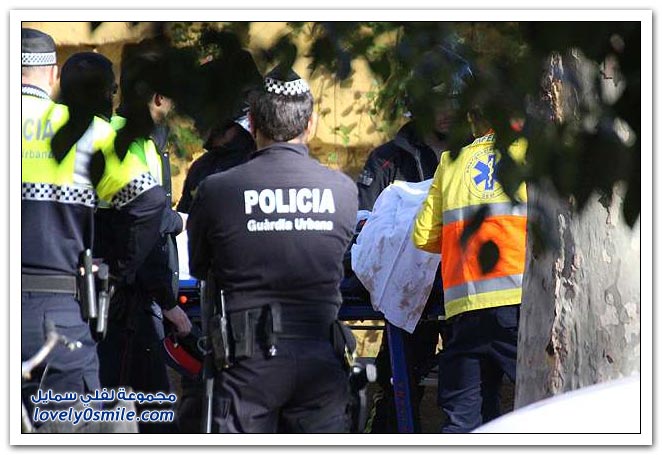متطفل يقفز داخل قفص الأسود في حديقة برشلونة