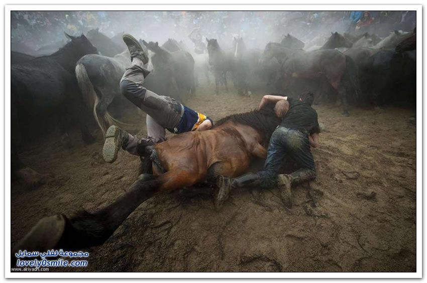 أفضل صور العام في أوروبا 2014م