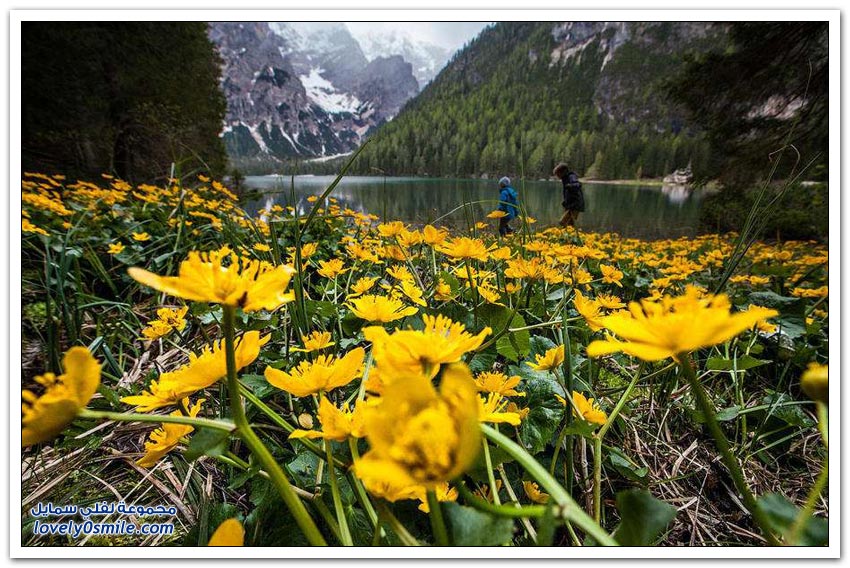    Braies 