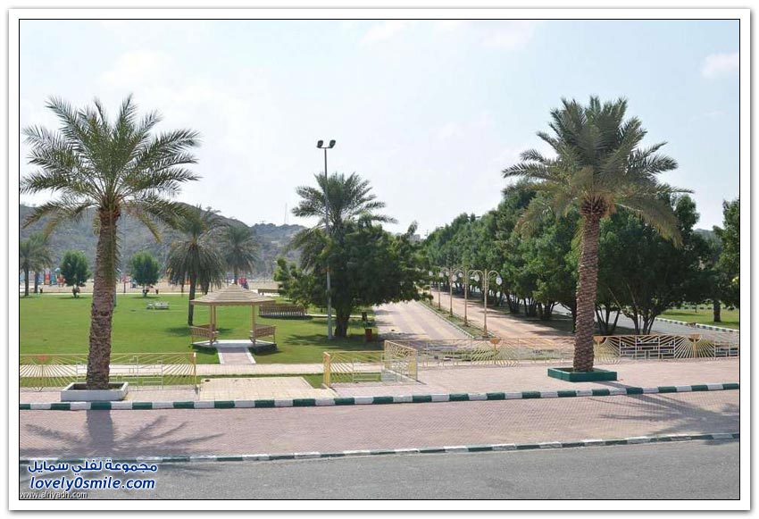 تهامة عسير
