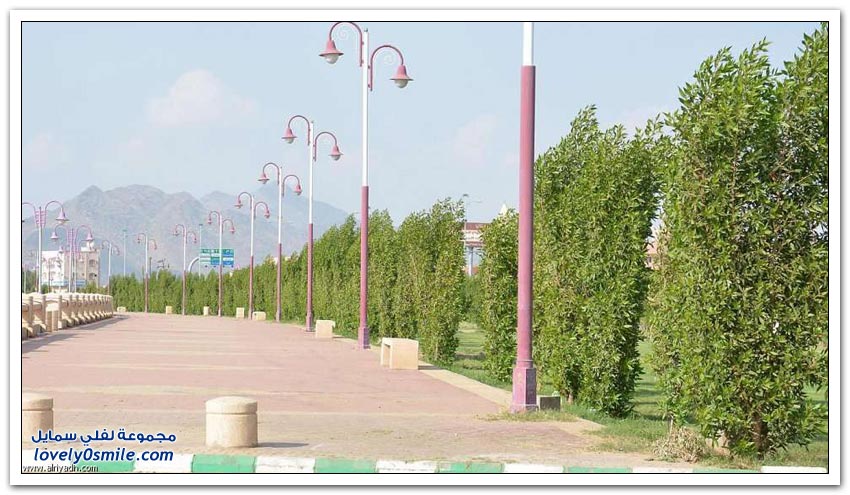 تهامة عسير