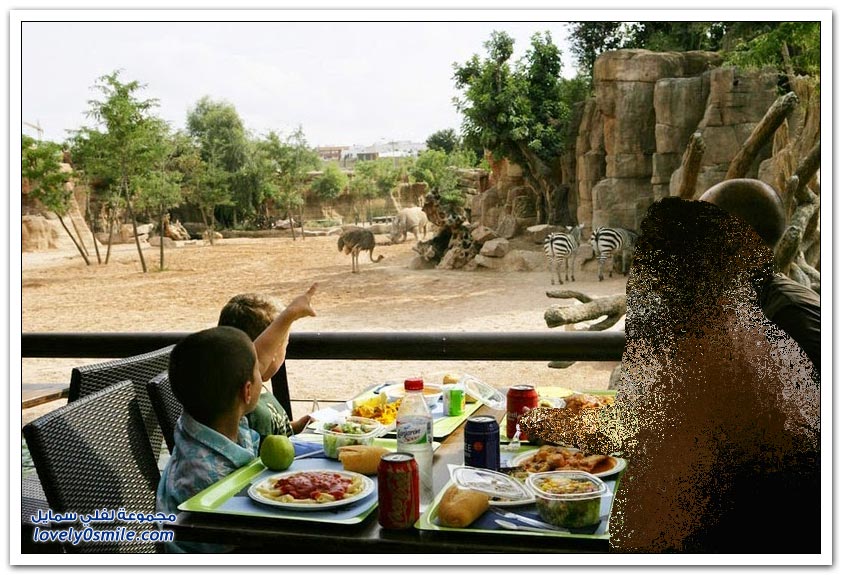 بيوبارك حديقة تحتوي على أكبر مجموعة من الحيوانات الأفريقية