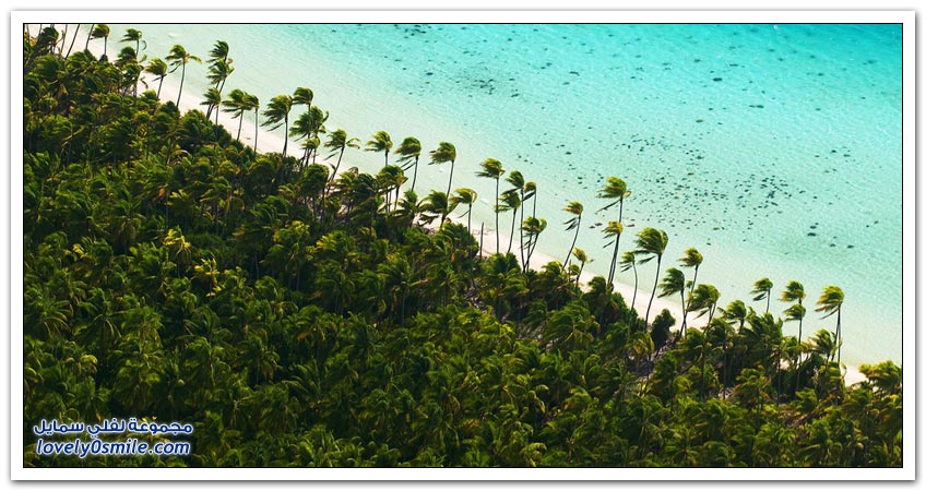 جزيرة مارلون براندو في بولينيزيا الفرنسية