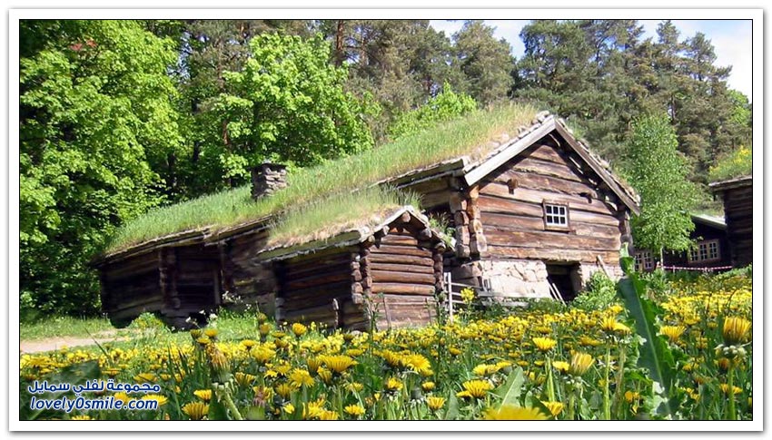 زراعة الأعشاب على أسقف المنازل حول العالم