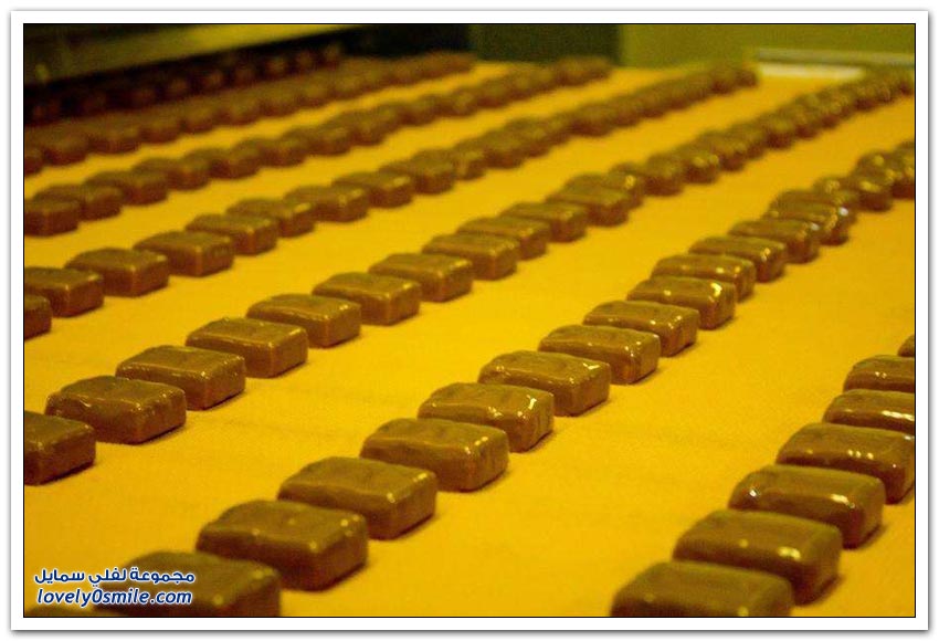 أحد مصانع الشوكولاته في روسيا