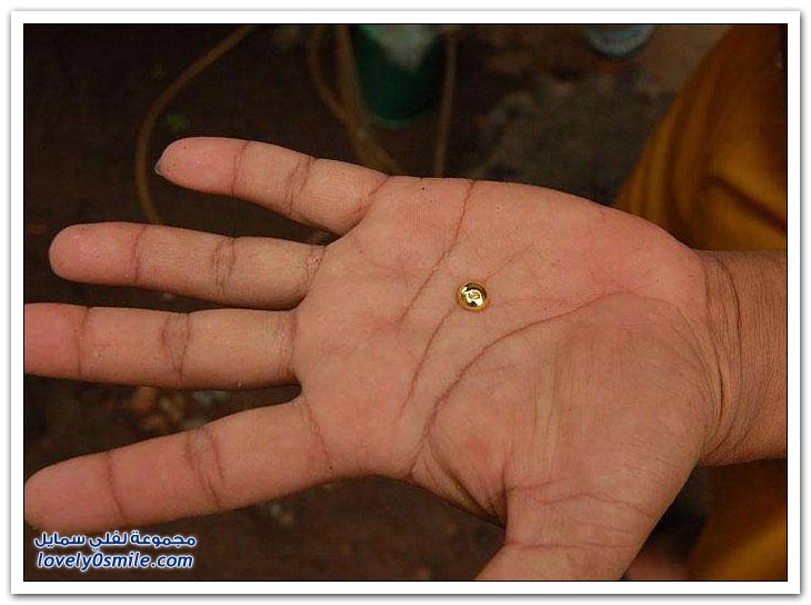 كيفية استخراج الذهب في جزيرة لومبوك، أندونيسيا