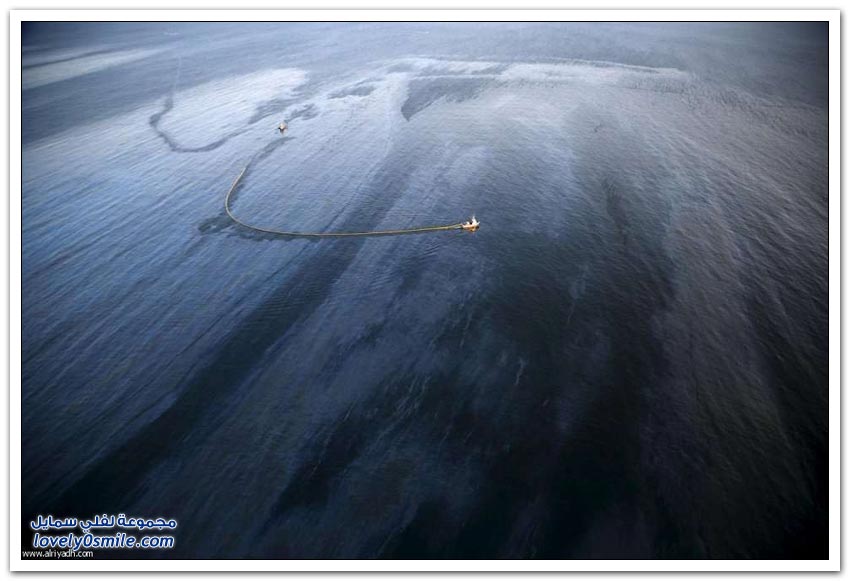 النفط يهاجم شواطئ كاليفورنيا