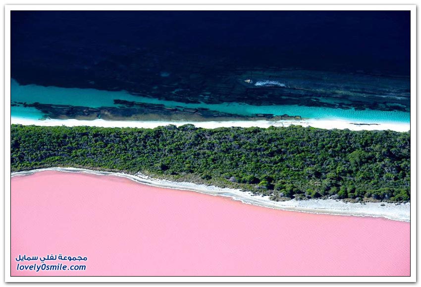 البحيرات الوردية حول العالم