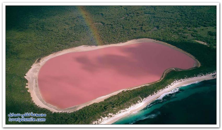 البحيرات الوردية حول العالم