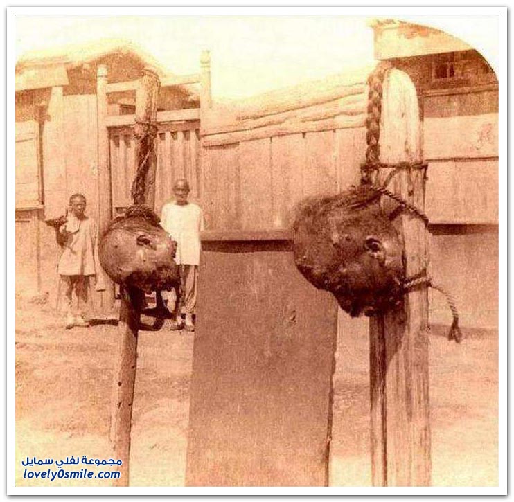 صور صادمة لطُرُق التعذيب والإعدام في الصين في القرن التاسع عشر