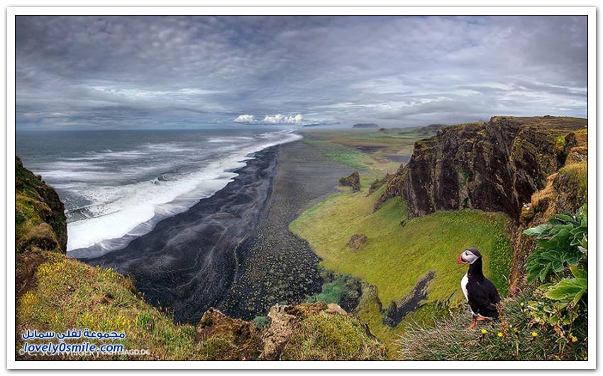 جولة على المناظر الطبيعية في أيسلندا