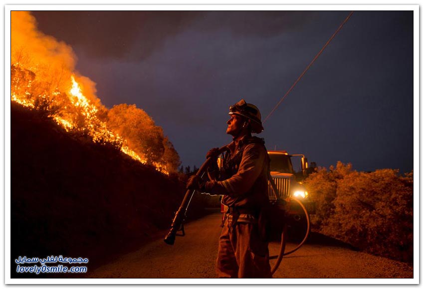 حرائق غابات كاليفورنيا 2015م