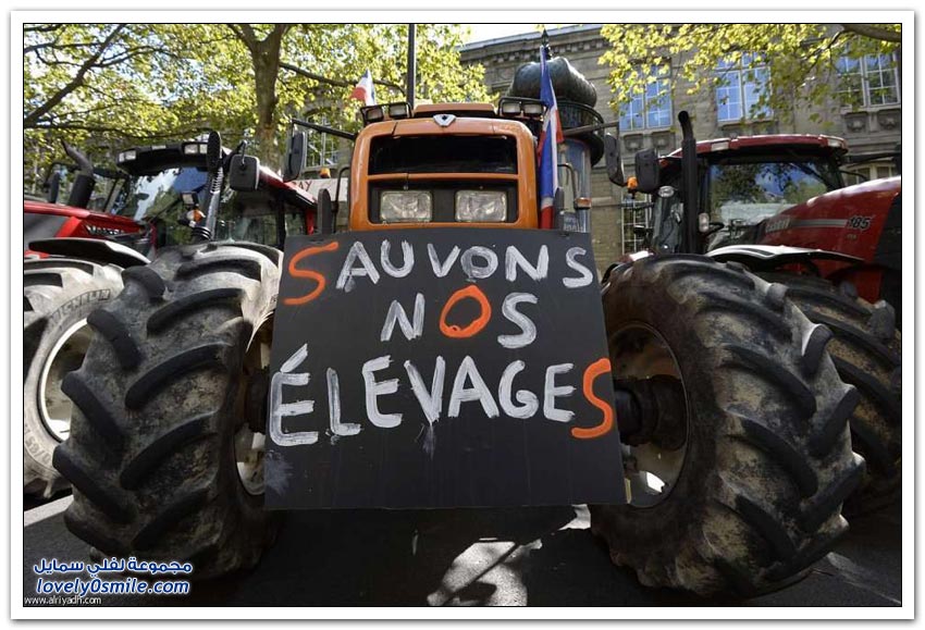 عندما يحتج المزارعون في فرنسا