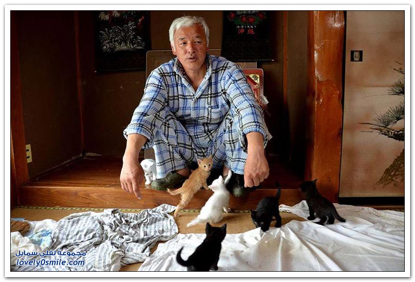 ياباني يقيم وحيداً في منطقة مشعة لإطعام الحيوانات
